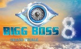 Celebrities performances review in Bigg Boss 8 Grand Finale